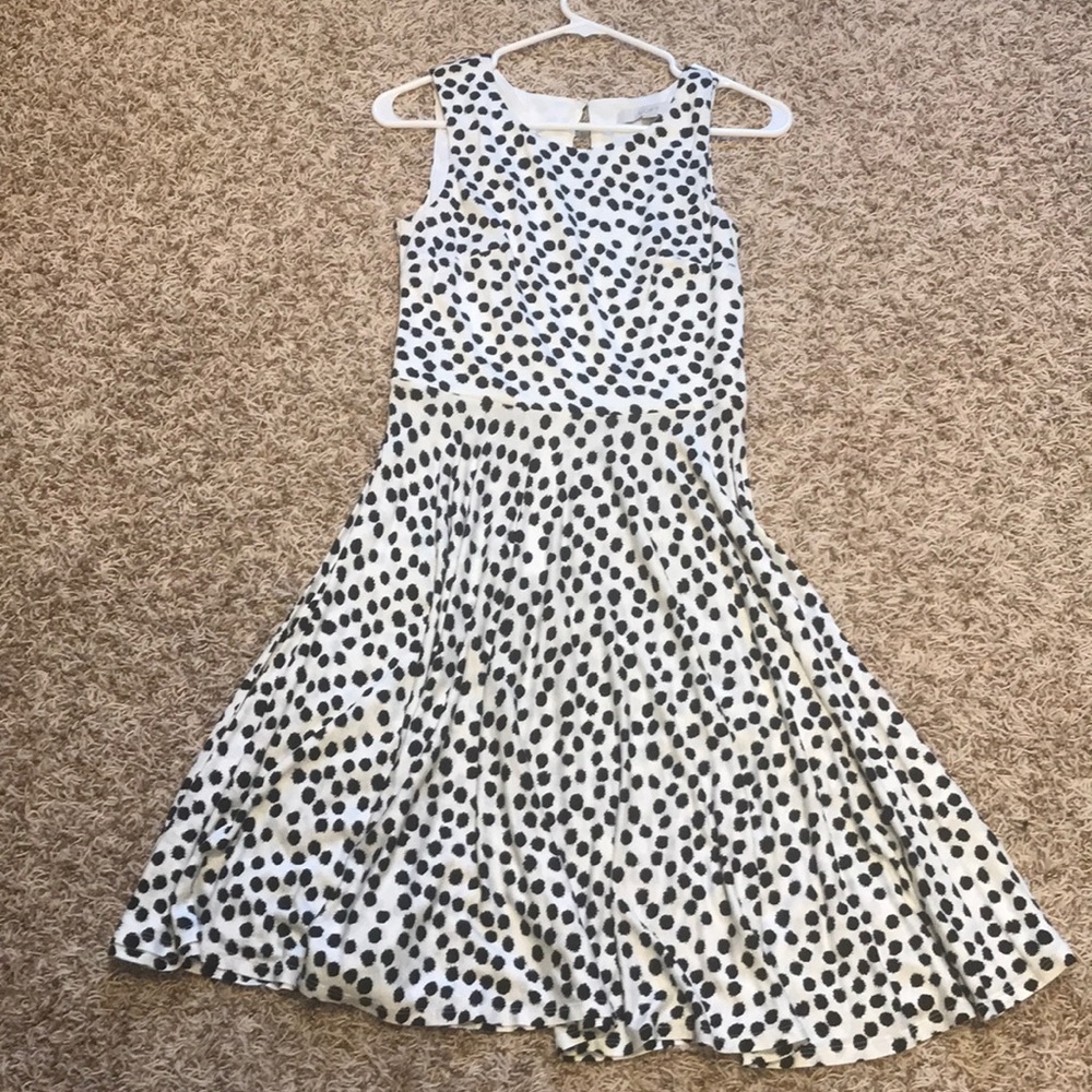 Loft fit and flair dress